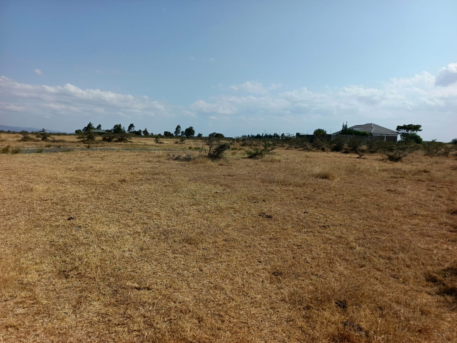 PRIME 2 ACRES OF LAND FOR SALE – KANTAFU